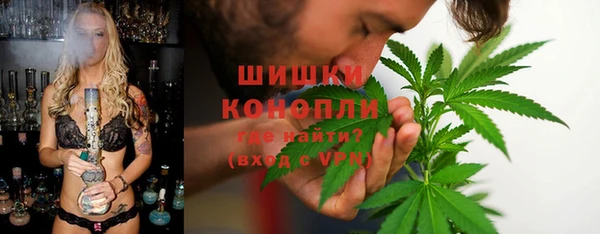 твердый Богородск