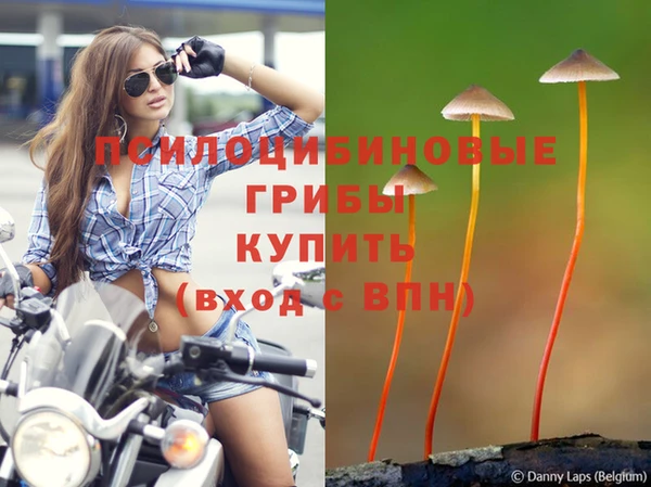 тгк Богданович