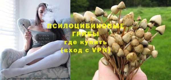 тгк Богданович