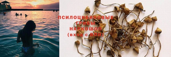 трава Аркадак