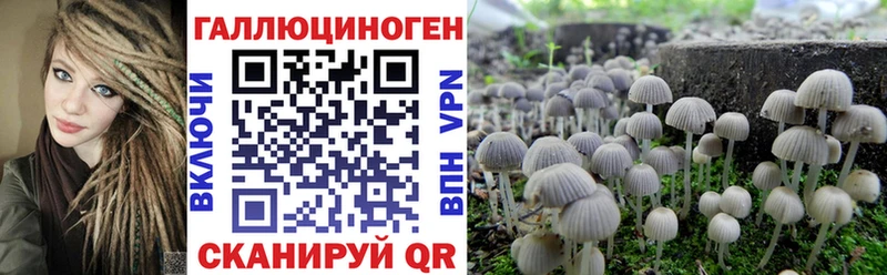 купить наркотики сайты  Северо-Курильск  дарк нет наркотические препараты  Псилоцибиновые грибы мицелий 