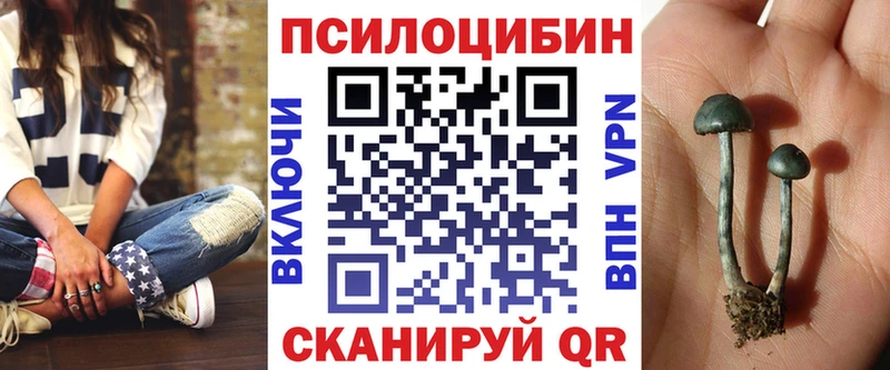 Псилоцибиновые грибы мицелий Северо-Курильск